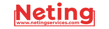 Neting Services logo